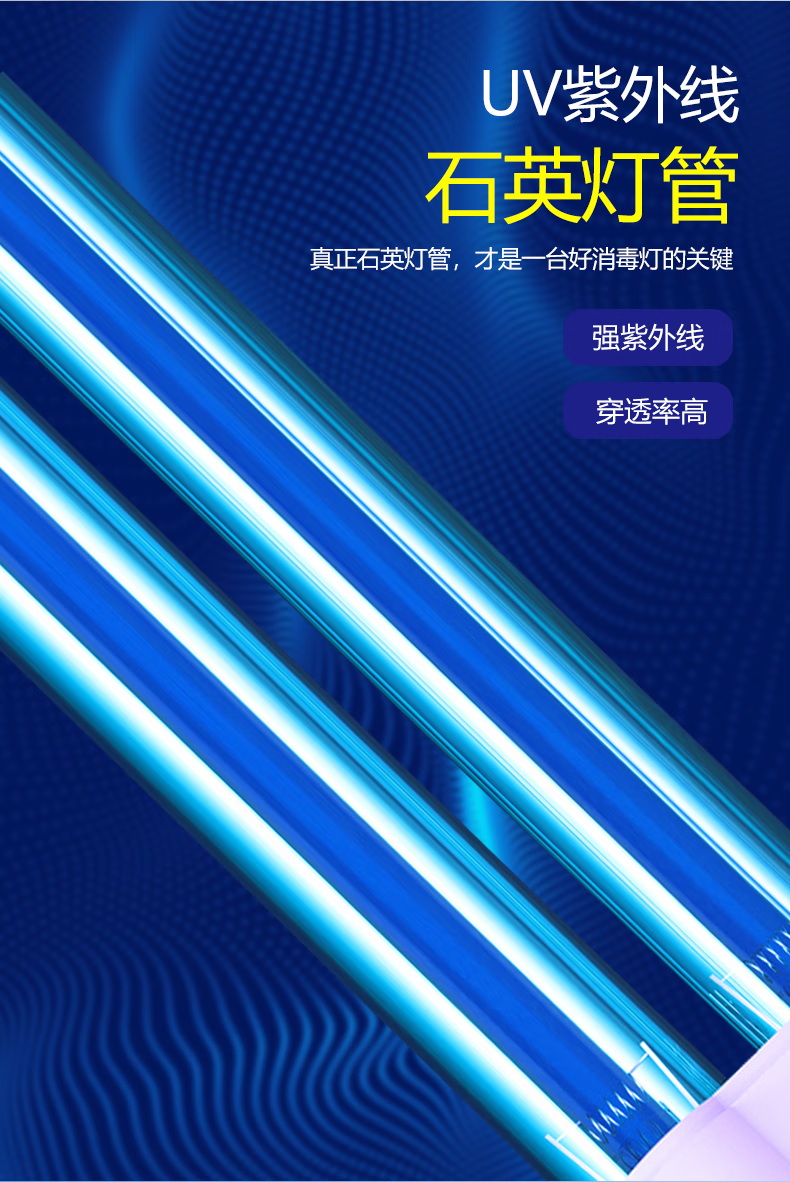 微信圖片_20250430172850_1274.png