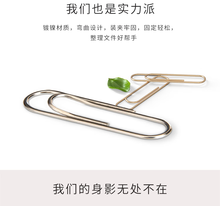 微信圖片_20250502143359_1860.png